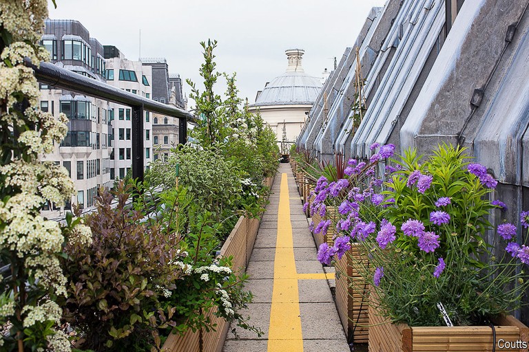 How Londoners Are Turning Rooftops Into Urban Gardens
